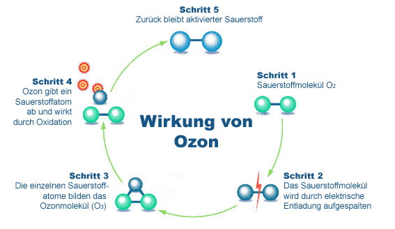 Ozonbild